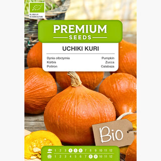 BIO Kürbis Uchiki Kuri - Japanische Sorte, Perfekt Zum Backen