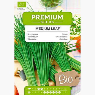 BIO Schnittlauch Medium Leaf - Ganzjährig Frischer Schnittlauch, Ideal Für Topfkultur