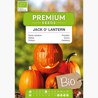 BIO Kürbis Jack O'Lantern - Nachhaltige Herbstdekoration