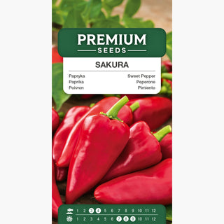 Paprika Sakura - Außergewöhnlich ertragreich, süße Geschmacksexplosion