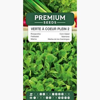 Feldsalat - Verte à Coeur Plein 2 - Zart, Frühreifend, Schneller Anbau - Valerianella locusta
