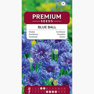 Kornblume - Zarte Schönheit für Blumenbeete - Centaurea cyanus