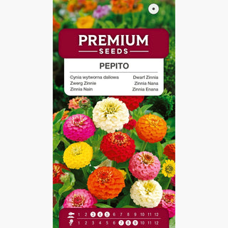 Zwerg Zinnie Pepito Mischung - Pomponblumen, ideal für Beete und Vasen - Zinnia elegans