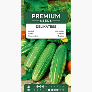 Gurke - Delikateß - Kleine Saftige Früchte, Früh Und Ertragreich