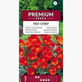Kalifornische Mohn - Red Chief - Leuchtende Farbe Den Ganzen Sommer - Eschscholzia californica