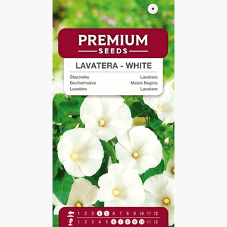 Bechermalve - Weiße - Prachtvolle Blüten Von Sommer Bis Herbst - Lavatera trimestris
