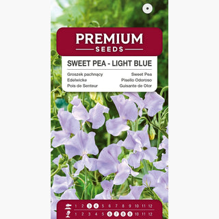 Edelwicke - Hellblau - Zarte Blautöne Der Blüten - Lathyrus odoratus