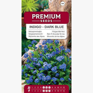 Vergissmeinnicht - Indigo - Dunkelblau - Kompakter Wuchs, Pflegeleicht, Langblühend - Myosotis alpestris