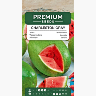 Wassermelone Charleston Gray - Riesige, süße Früchte – ein Paradies für den Gaumen - Citrullus lanatus