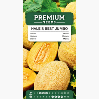 Melone Hale's Best Jumbo - Hervorragender Geschmack und Duft, einfach anzubauen - Cucumis melo