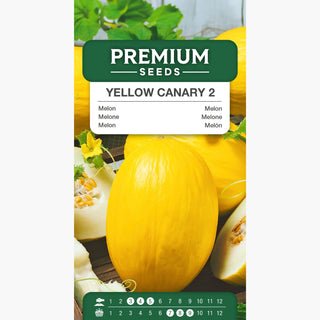 Melone Yellow Canary 2 - Außergewöhnliche Süße, hervorragend für Salate und Cocktails - Cucumis melo