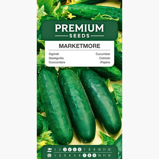Salatgurke - Marketmore - Schmackhaft, einfach zu kultivieren, krankheitsresistent, ideal für Salate