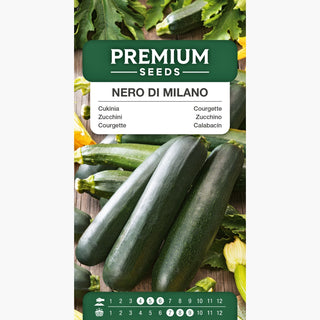Zucchini - Nero di Milano - Schmackhafte und reichhaltige Ernte, lange Erntezeit