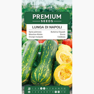 Moschus-Kürbis Lunga Di Napoli - Ungewöhnlich lange Früchte mit einzigartigem Geschmack - Cucurbita moschata