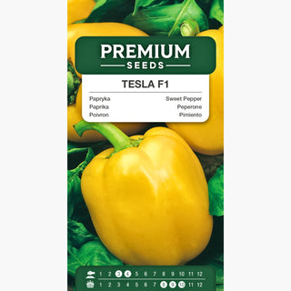 Paprika Tesla F1 - Süß und saftig – voller Geschmack!