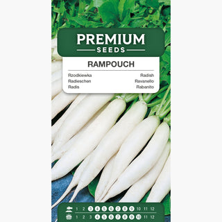 Radieschen Rampouch - Milder Geschmack – ideal für jedermann