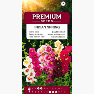 Zwerg Stockrose - Indian Spring - Sommerliche Blütenpracht Für Beete - Alcea rosea