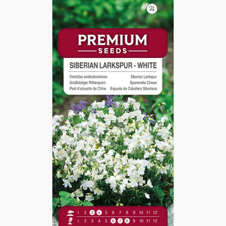 Großblütiger Rittersporn Weiße - Üppige Blütenstände, Winterharte Staude - Delphinium grandiflorum