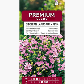 Großblütiger Rittersporn Rosa - Majestätisch Hochwachsend, Perfekter Hintergrund - Delphinium grandiflorum