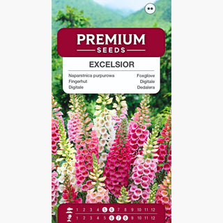 Fingerhut - Excelsior Mischung - Bezaubernde Glockenblüten, Zweijährig - Digitalis purpurea