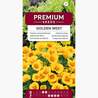 Kalifornische Mohn - Golden West - Goldgelbe, Langblühende Blüten - Eschscholzia californica