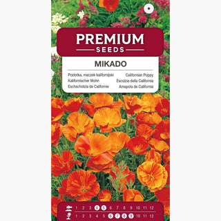 Kalifornische Mohn - Mikado - Farbenfrohe Blütenpracht - Eschscholzia californica