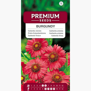 Prärie Kokardenblume - Burgundy - Intensive Farbe, Lange Blütezeit - Gaillardia aristata