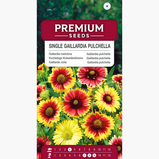 Kurzlebige Kokardenblume - Einfache Mischung - Warme Farbtöne, Langanhaltende Blüte - Gaillardia pulchella