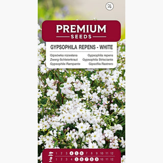 Zwerg-Schleierkraut - Weiße - Zarte Gartenverschönerung - Gypsophila repens