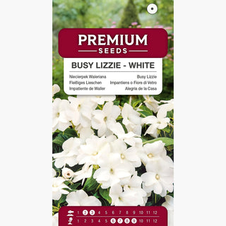 Fleißiges Lieschen - Weiß - Dekorative Blüten, Sommer- Und Herbstblüher - Impatiens walleriana
