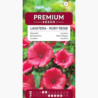 Bechermalve - Ruby Regis - Große Prächtige Blüten Für Beete - Lavatera trimestris