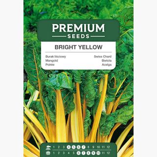 Mangold - Bright Yellow - Intensiv Gefärbt, Mild Im Geschmack