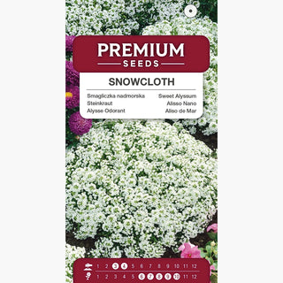 Steinkraut - Snowcloth - Reich Blühend, Pflegeleicht - Lobularia maritima