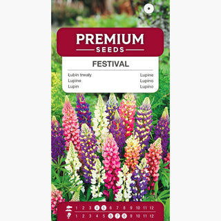 Lupine - Festival - Zwerg Mischung - Dekorative Gartensorte - Lupinus polyphyllus