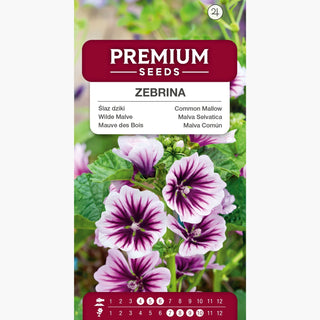Wilde Malve - Zebrina - Kräftiger Und Schneller Wuchs, Gestreifte Blüten - Malva sylvestris
