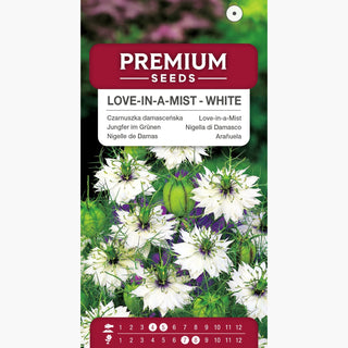 Jungfer im Grünen - Weiß - Zarte Weiße Blüten Für Beete Und Sträuße - Nigella damascena