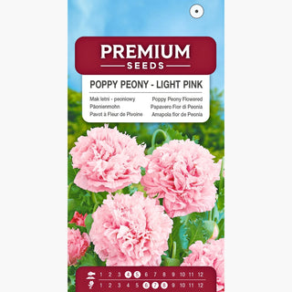 Päonienmohn - Hellrosa - Zarte Pastellene Eleganz - Papaver paeoniflorum
