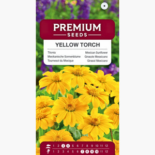 Mexikanische Sonnenblume - Yellow Torch - Majestätisch Hochwachsend, Üppig Buschartig - Tithonia rotundifolia