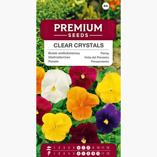 Stiefmütterchen - Clear Crystals - Bunte Mischung, Ziert Jeden Balkon - Viola ×wittrockiana