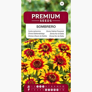 Zinnie Dahlienblütige - Sombrero - Bunte Mexikanische Farbmischung - Zinnia elegans
