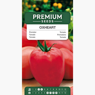Tomate - Oxheart - Fleischige, Herzförmige, Große, Süße Früchte