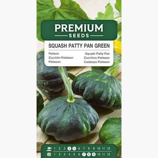 Zucchini Patisson Grüne - Dekorativer Und Essbarer Zarter Frucht