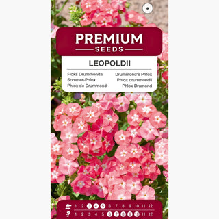 Sommer-Phlox - Leopoldii - Lachsrosa Mit Weißem Auge - Phlox drummondii