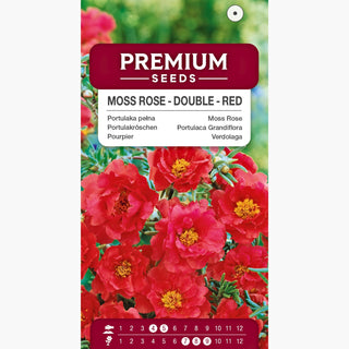 Portulakröschen - Gefüllte Rot - Dekorative Blüten, Lange Und Üppige Blüte - Portulaca grandiflora