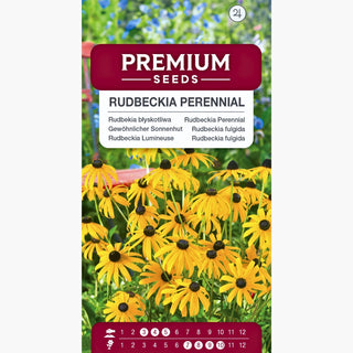Gewöhnliche Sonnenhut - Goldene Blüten Locken Insekten An - Rudbeckia fulgida