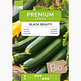 BIO Zucchini Black Beauty - Aromatischer Vielseitiger Genuss