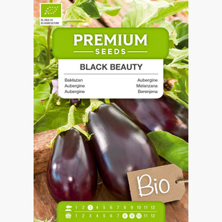 BIO Aubergine Black Beauty - Besonders Fleischig, Perfekt Für Den Grill