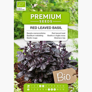 BIO Basilikum rotblättrig - Intensives Aroma, Edler Bordeaux-Farbton - Ocimum basilicum