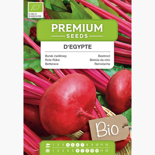 BIO Rote Rübe - D'Egypte - Süßer Geschmack, Sicherer Ertrag, Bio-Saatgut