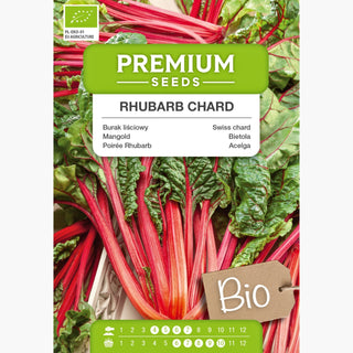 BIO Mangold Rhubarb Chard - Bunte Vitaminreiche Blätter